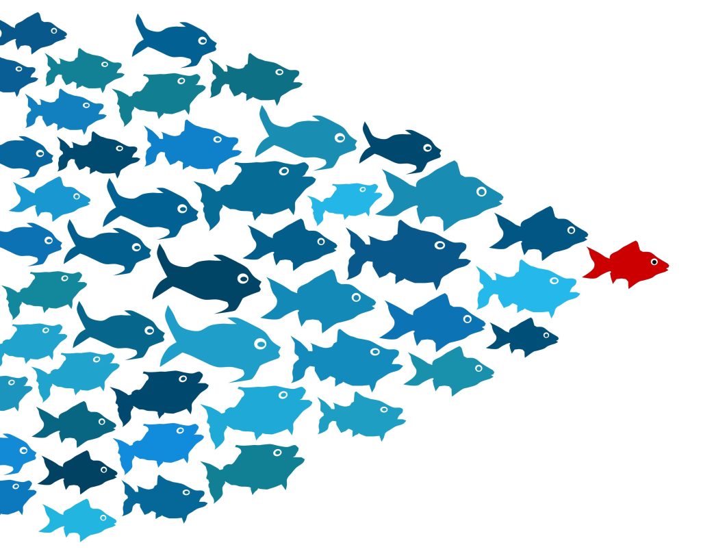 Image shows a group of fish in blue colors in triangular formation, with a lead fish colored red at the tip of the triangle facing right.